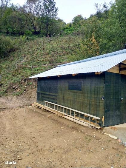 Casă cu 2 camere cu Teren 1707 Mp în Bistra