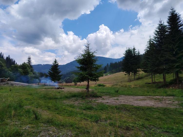 Teren de 17000 mp, în Siculeni
