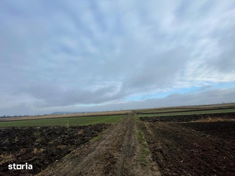 Teren de 1300 mp, în Marginea