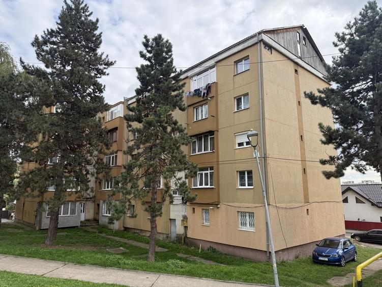 Apartament cu 2 camere în Paltin