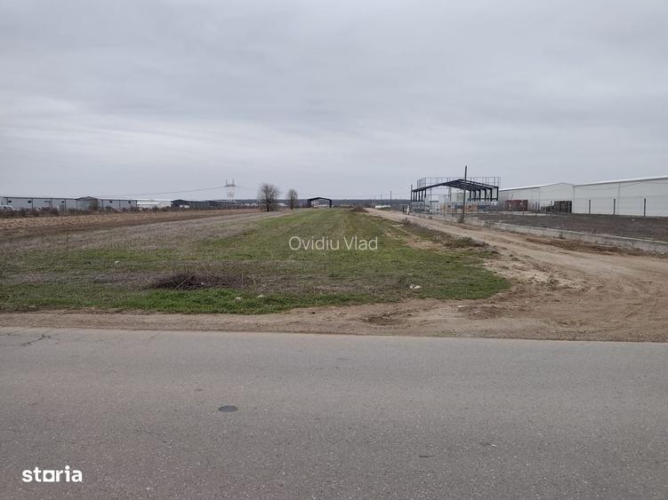 Fara Comisioane Loturi Teren Constructii Hale In Zona De Hale Merita V