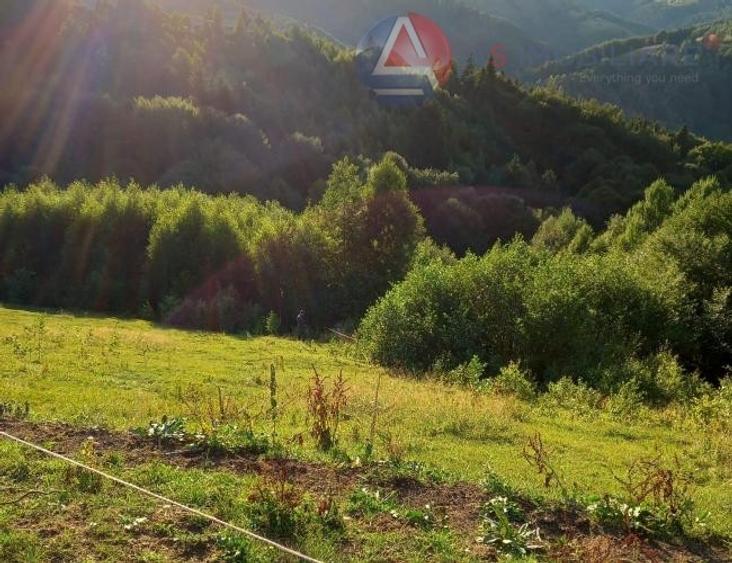 Teren intravilan de 10669 mp, în Moieciu de Jos