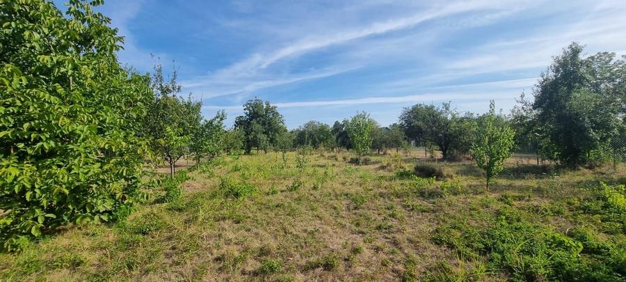 Teren Construcții intravilan de 2000 mp, în Comana