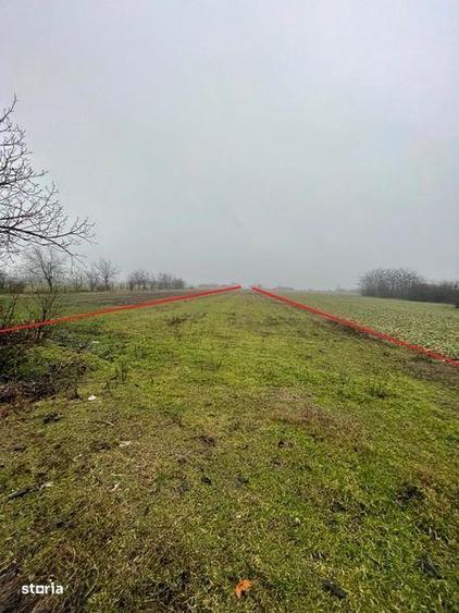 Teren de 6105 mp, în Sălciile