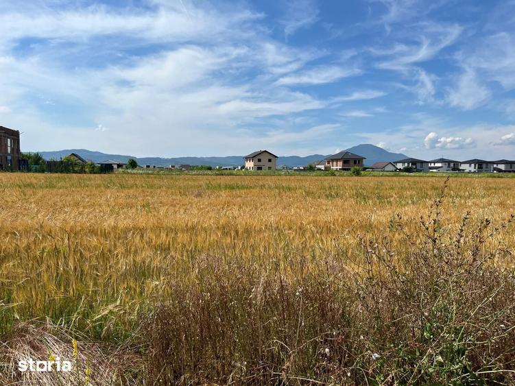 Teren de 1000 mp, în Cristian