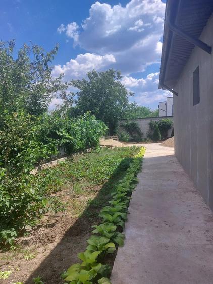 Casă cu Teren 1180 Mp în Central
