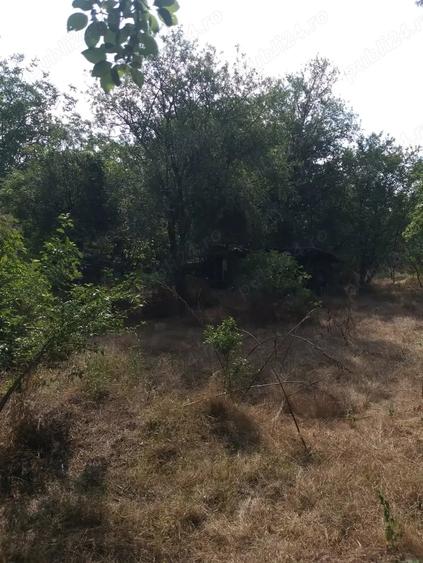 Casă cu 4 camere cu Teren 5000 Mp în Drăgănești