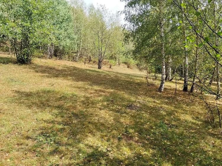 Teren de 6739 mp, în Vale