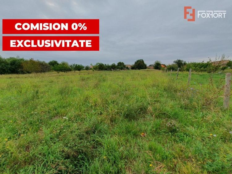 Teren Construcții intravilan de 2978 mp, în Sânmihaiu German