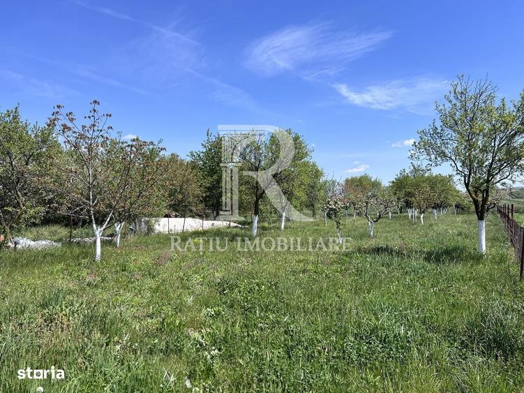 Casă cu 1 camere în Chijic