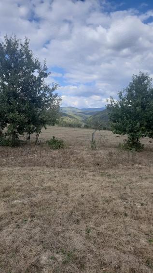 Teren de 835 mp, în Hălmagiu