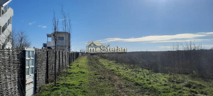 Teren Intravilan Vama Veche | 7.495 mp | Oportunitate Investiție - 6