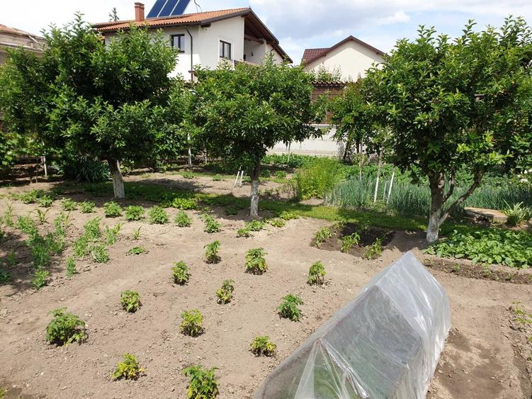Casa Focsani | Curte privata | Ideal investitie - 5