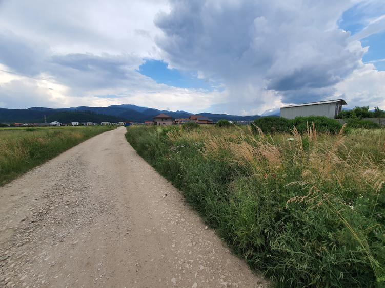 Teren Construcții intravilan de 526 mp, în Cristian