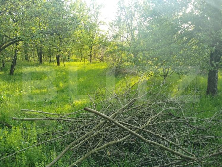 Teren Construcții intravilan de 3317 mp, în Simeria Veche
