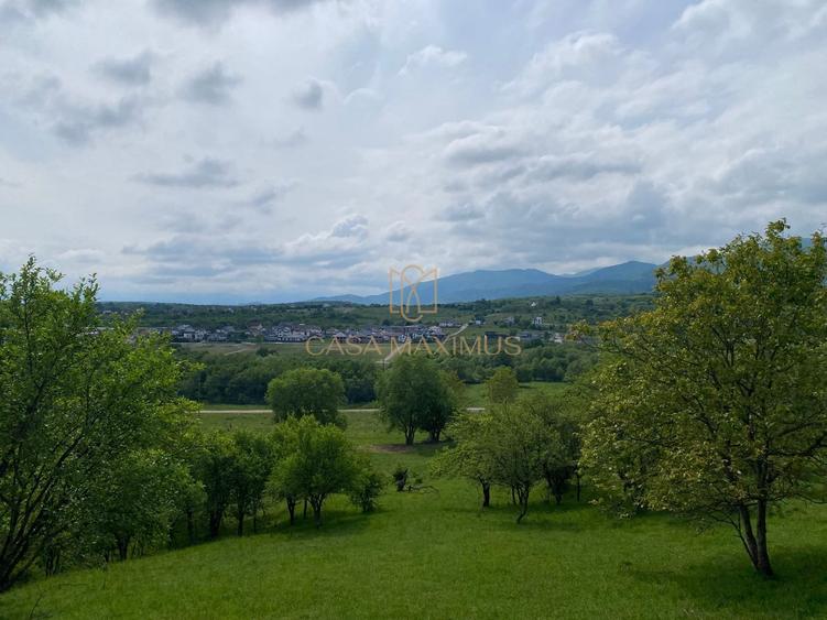Teren Construcții intravilan de 3738 mp, în Cisnădioara