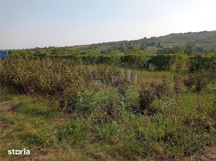 Intravilan - Tomesti - Teren si Cabana din Lemn - 4