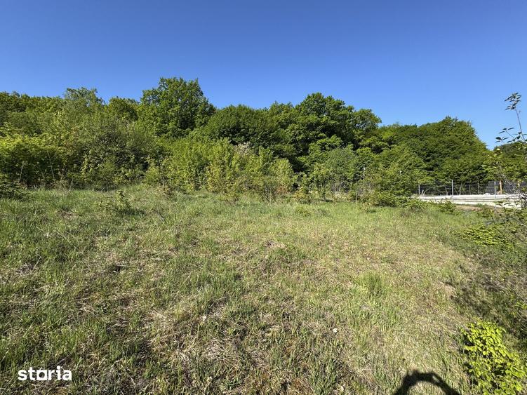Teren intravilan 800 mp in Corunca, zona pensiunea Korunca - 2