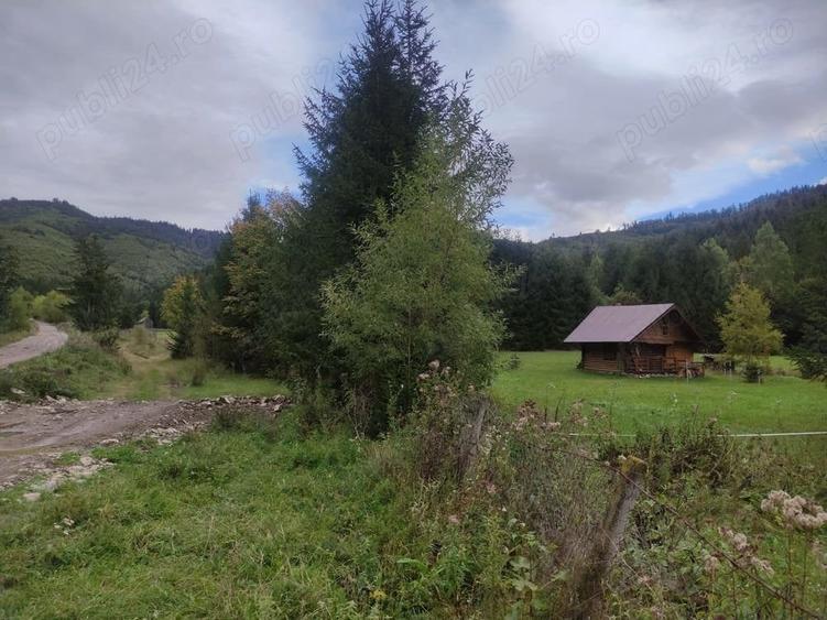 Teren de 9172 mp, în Pintic