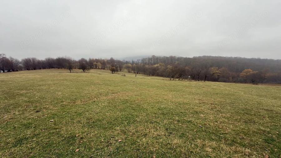 Teren deosebit 3,5HA zona Cisnadioara - 4