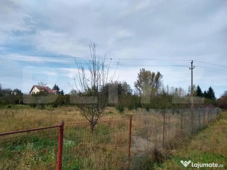 Teren de 4170 mp, în Bercu Roșu
