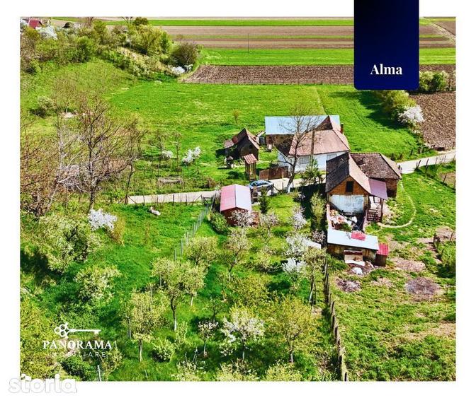 Teren Intravilan cu cabana in satul transilvanean Alma - 13