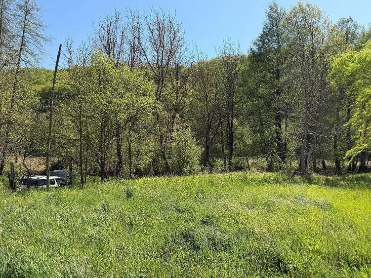 Teren de 2200 mp, în Căpruța