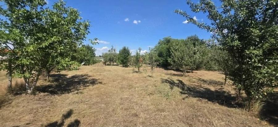 Teren de 2930 mp, în Mâsca