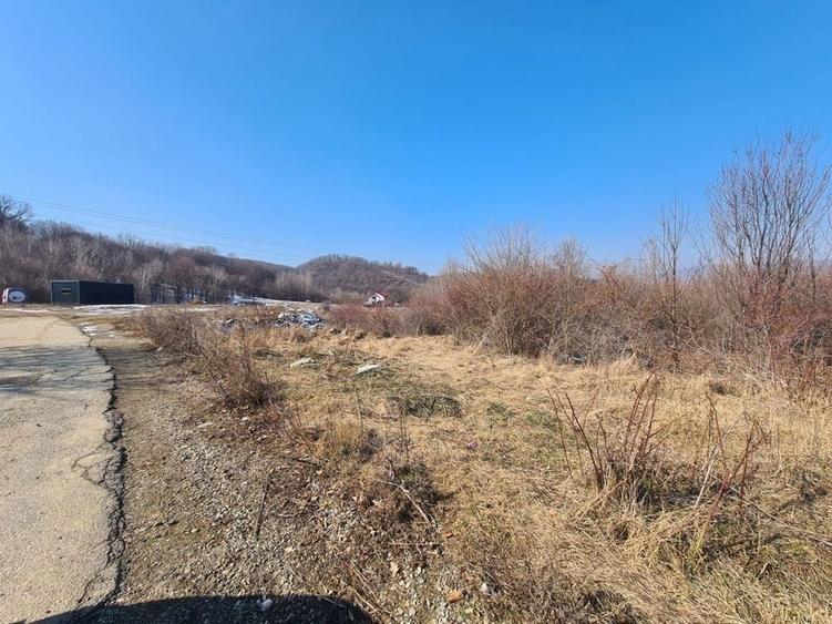 Teren de 9100 mp, în Petrișor