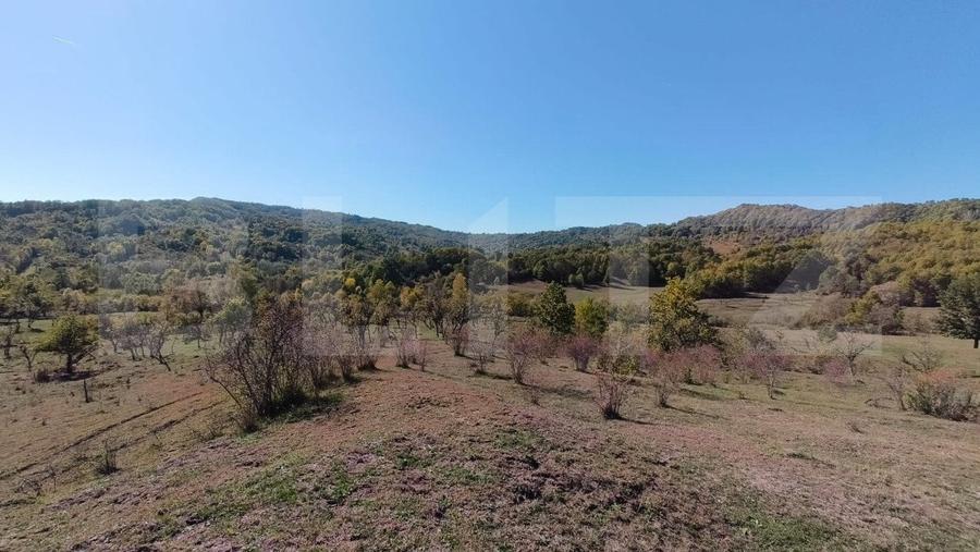 Teren agricol extravilan de 7382 mp, în Valea Lungă-Cricov