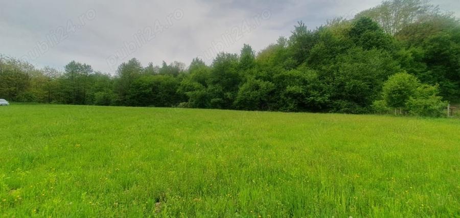 Teren de 2000 mp, în Central