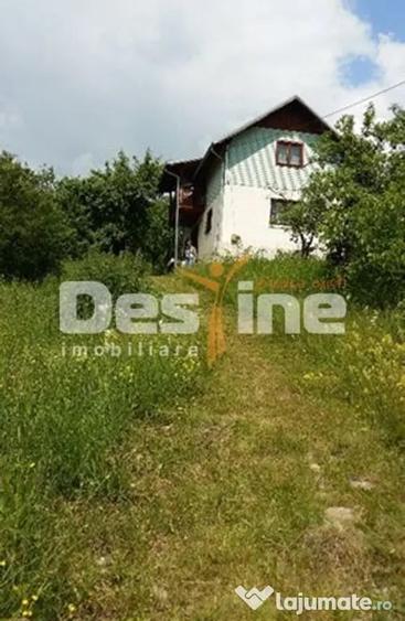 Teren de 5000 mp, în Drajna