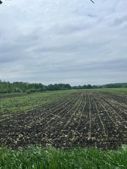 Teren agricol extravilan de 3750 mp, în Exterior Nord