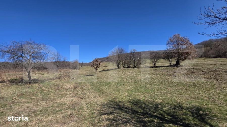 Teren de vanzare de 8,567MP in zona: Tarpiului - 13