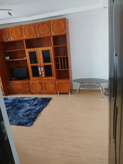 Inchiriere apartament 1 camera Lugoj - 5