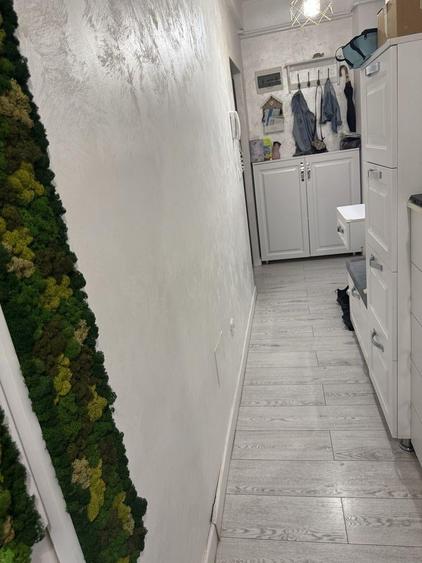 Apartament cu 2 camere decomandat, mobilat în Brazda lui Novac