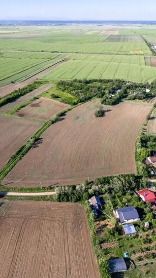 Teren Construcții intravilan de 5830 mp, în Rociu