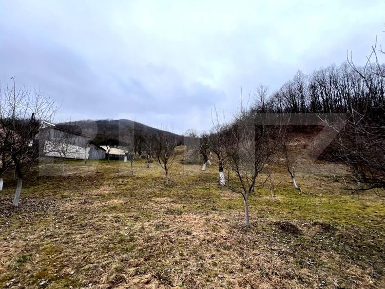 Teren Construcții intravilan de 3709 mp, în Stremț