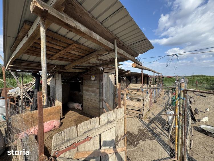 Casă cu 4 camere cu Teren 3000 Mp în Doba
