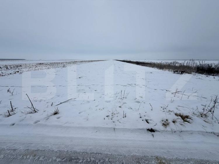 Teren agricol extravilan de 9000 mp, în Tărlungeni