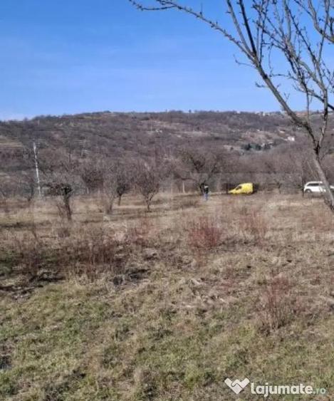 Teren de 860 mp, în Podgoria