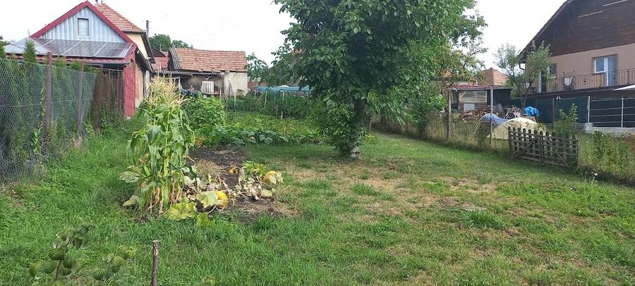 Teren de 730 mp, în Central