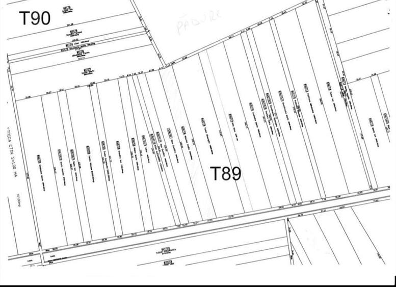 Teren de 4984 mp, în Săbăreni