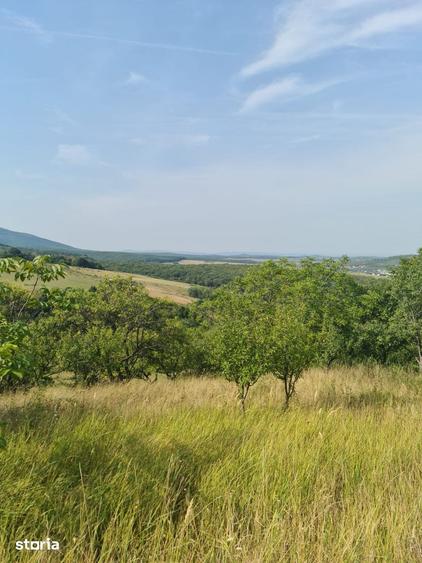 Teren de 2800 mp, în Central