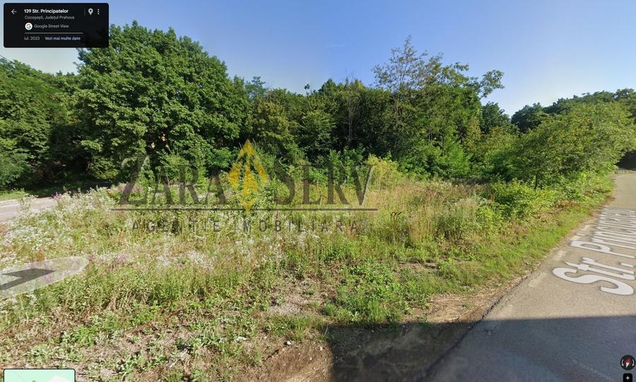 Teren Construcții intravilan de 800 mp, în Păulești