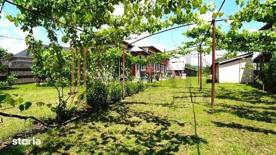 Casă cu 3 camere cu Teren 800 Mp în Șotânga