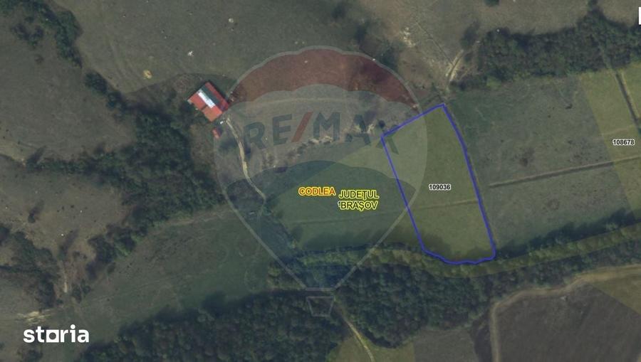 Teren de 10000 mp, în Dumbrăvița
