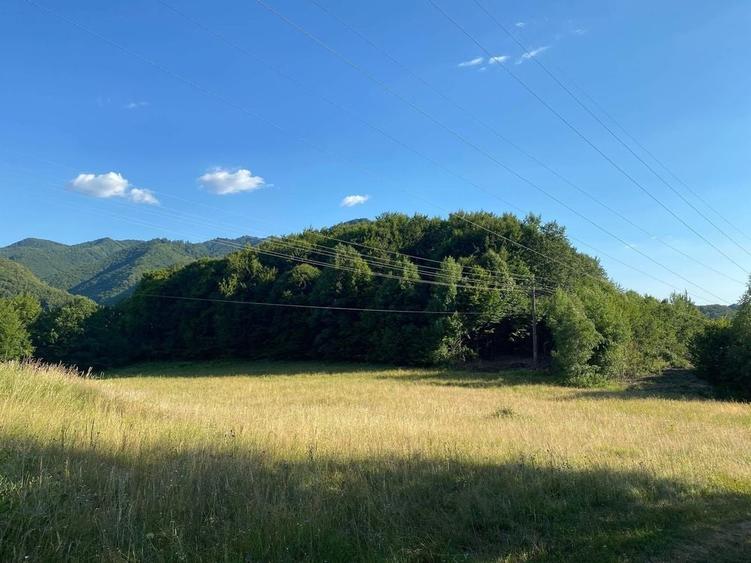 Teren de 20000 mp, în Reghin