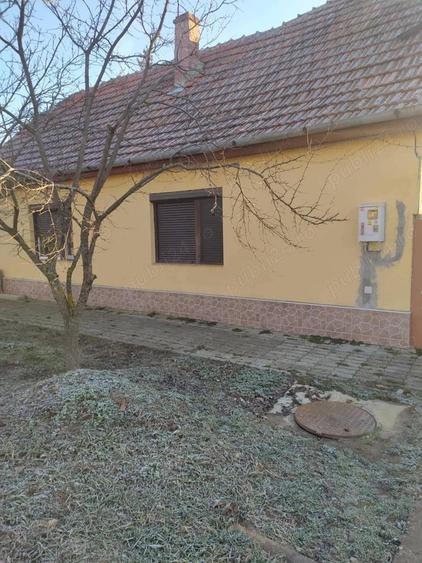 Casă cu 4 camere cu Teren 1750 Mp în Șag
