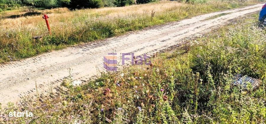 Teren intravilan de vanzare in Harman, Brasov cu utilitati - 2